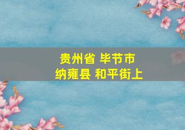 贵州省 毕节市 纳雍县 和平街上